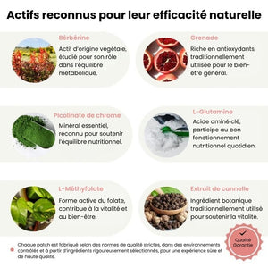 PATCHS BERBERINE | Soutien Minceur & Vitalité