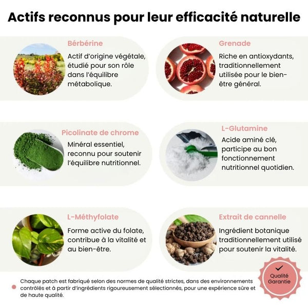 PATCHS BERBERINE | Soutien Minceur & Vitalité