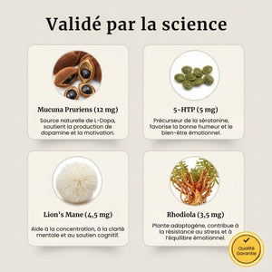 PATCHS DOPAMINE | Équilibre & Sérénité au Quotidien